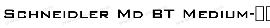 Schneidler Md BT Medium字体转换